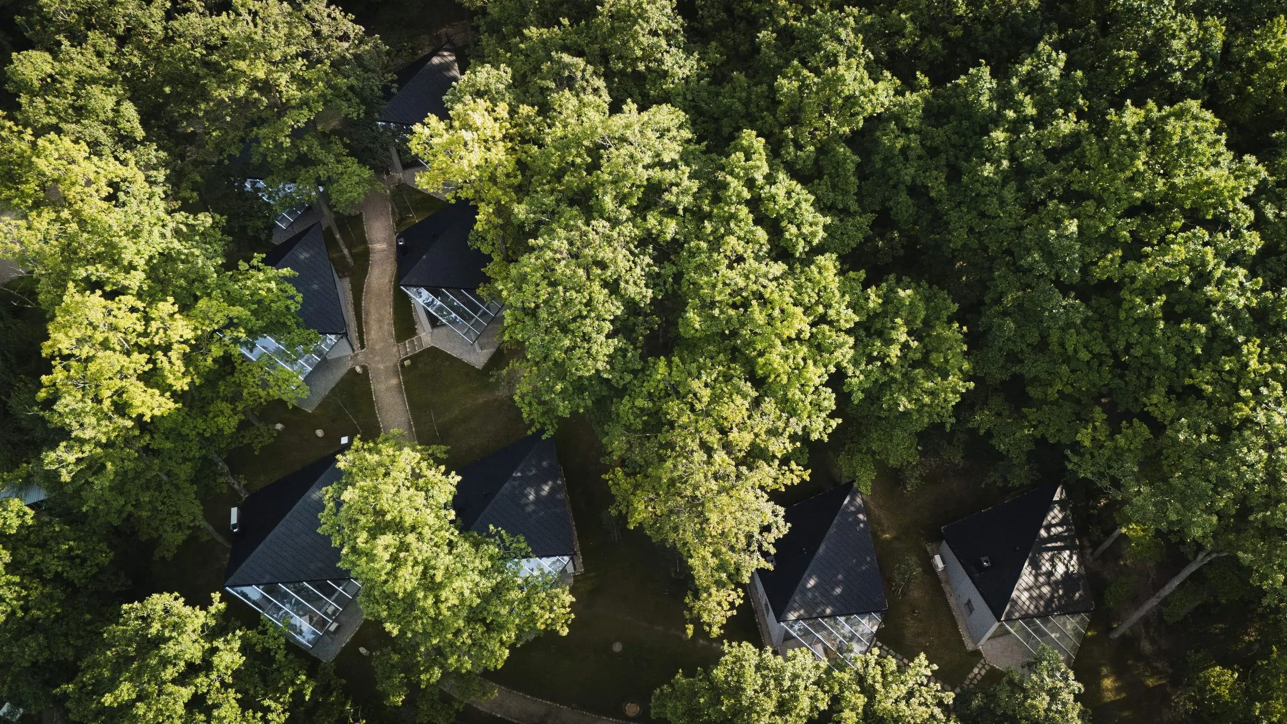Cabins with dark pitched roofs scattered through dense summer woodland, seen from directly above